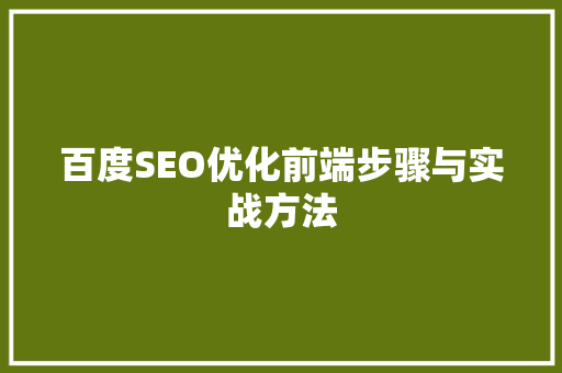 百度SEO优化前端步骤与实战方法