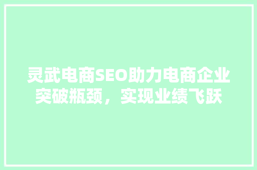 灵武电商SEO助力电商企业突破瓶颈，实现业绩飞跃
