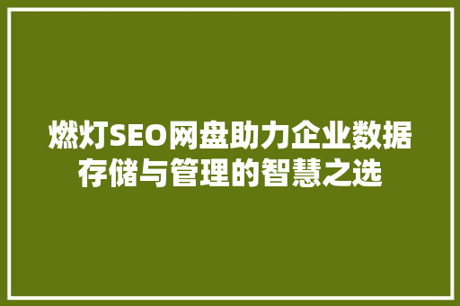 燃灯SEO网盘助力企业数据存储与管理的智慧之选