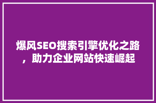 爆风SEO搜索引擎优化之路，助力企业网站快速崛起