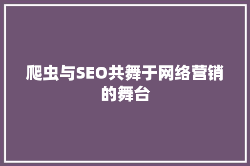爬虫与SEO共舞于网络营销的舞台
