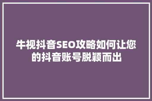 牛视抖音SEO攻略如何让您的抖音账号脱颖而出