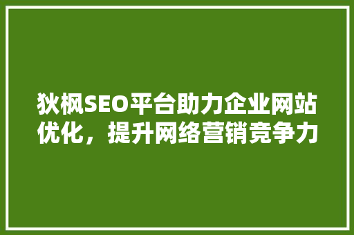 狄枫SEO平台助力企业网站优化，提升网络营销竞争力