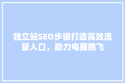 独立站SEO步骤打造高效流量入口，助力电商腾飞