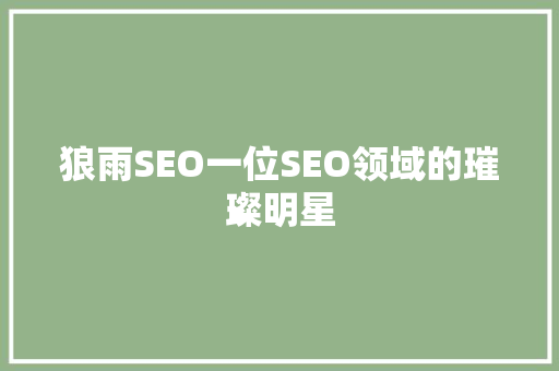 狼雨SEO一位SEO领域的璀璨明星