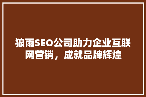 狼雨SEO公司助力企业互联网营销，成就品牌辉煌