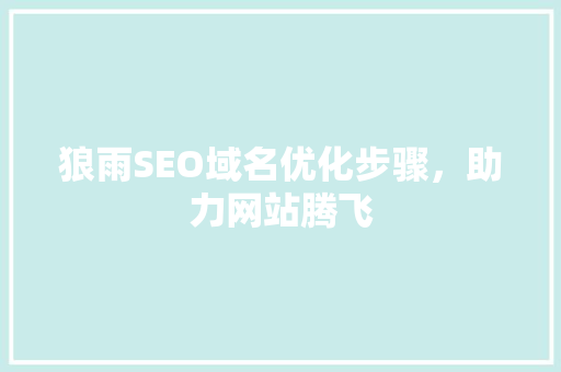 狼雨SEO域名优化步骤，助力网站腾飞