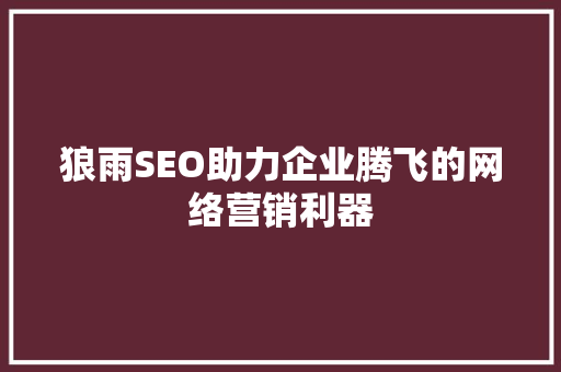 狼雨SEO助力企业腾飞的网络营销利器