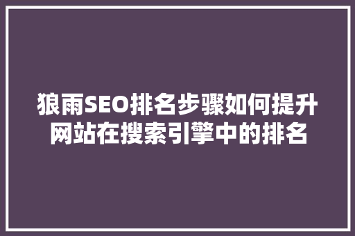 狼雨SEO排名步骤如何提升网站在搜索引擎中的排名