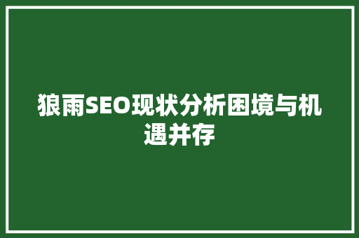狼雨SEO现状分析困境与机遇并存