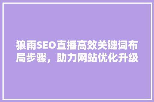 狼雨SEO直播高效关键词布局步骤，助力网站优化升级