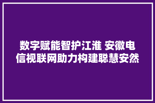 数字赋能智护江淮 安徽电信视联网助力构建聪慧安然网