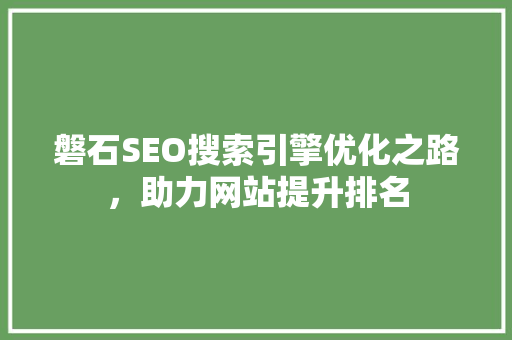 磐石SEO搜索引擎优化之路，助力网站提升排名