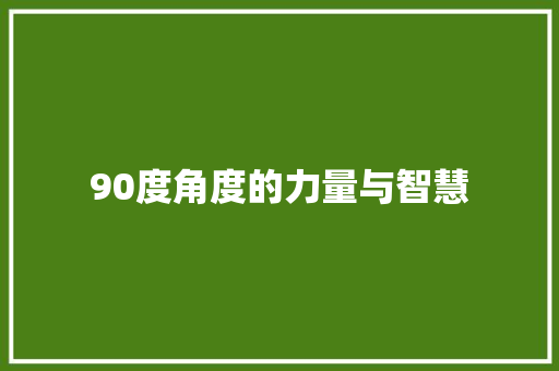 90度角度的力量与智慧