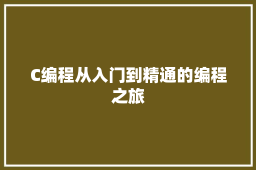 C编程从入门到精通的编程之旅