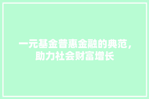 一元基金普惠金融的典范，助力社会财富增长