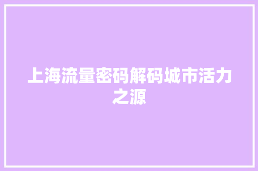 上海流量密码解码城市活力之源
