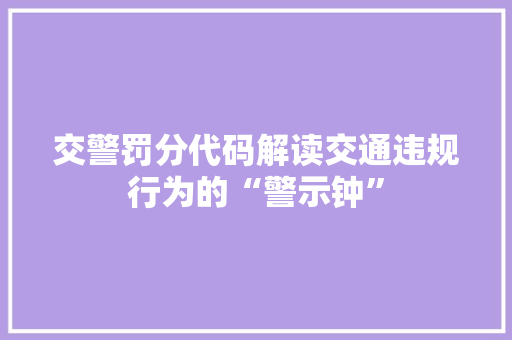 交警罚分代码解读交通违规行为的“警示钟”