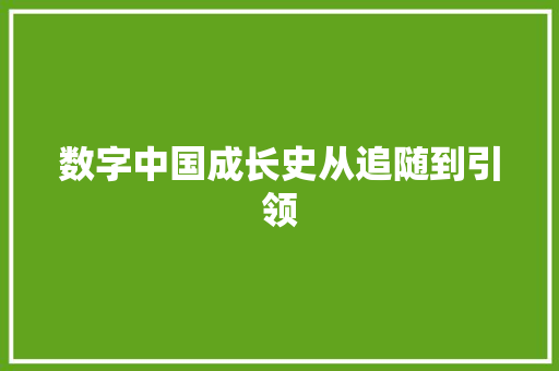 数字中国成长史从追随到引领