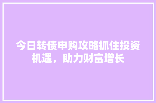今日转债申购攻略抓住投资机遇，助力财富增长