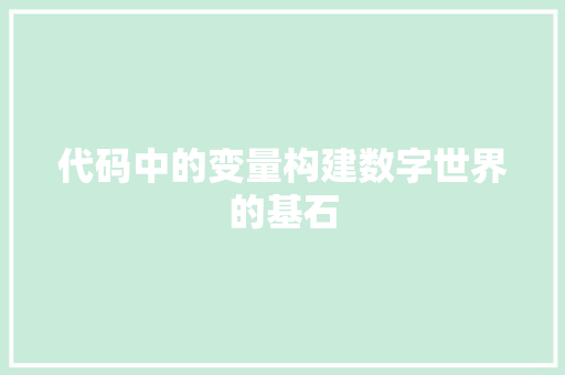 代码中的变量构建数字世界的基石
