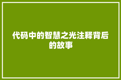 代码中的智慧之光注释背后的故事