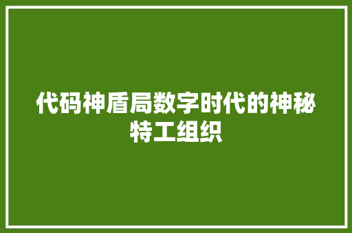 代码神盾局数字时代的神秘特工组织