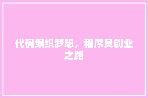 代码编织梦想，程序员创业之路