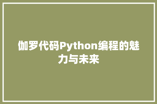伽罗代码Python编程的魅力与未来