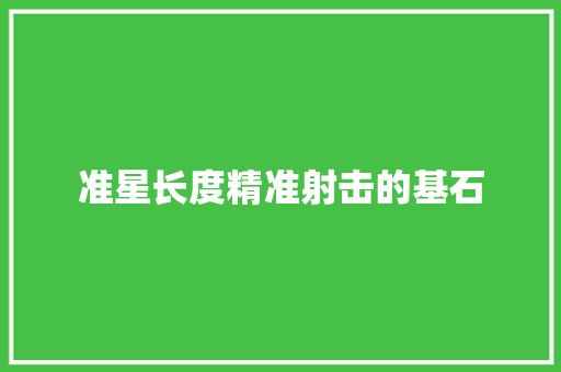 准星长度精准射击的基石