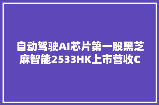 自动驾驶AI芯片第一股黑芝麻智能2533HK上市营收CAGR达127
