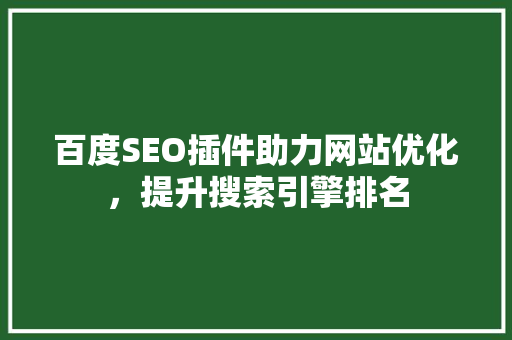百度SEO插件助力网站优化，提升搜索引擎排名
