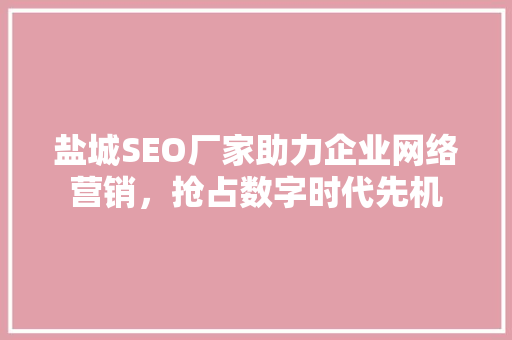 盐城SEO厂家助力企业网络营销，抢占数字时代先机