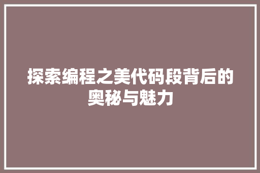 探索编程之美代码段背后的奥秘与魅力