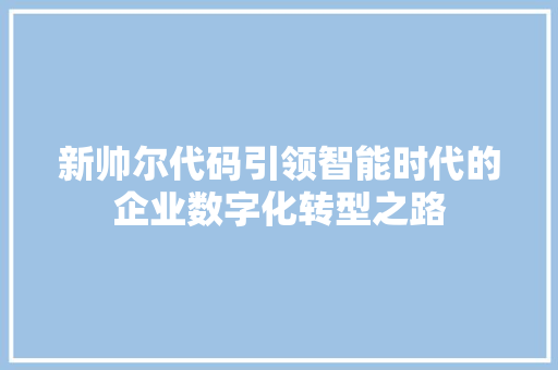 新帅尔代码引领智能时代的企业数字化转型之路