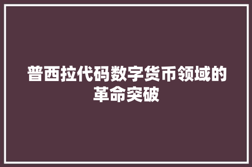 普西拉代码数字货币领域的革命突破