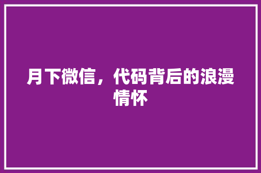 月下微信，代码背后的浪漫情怀