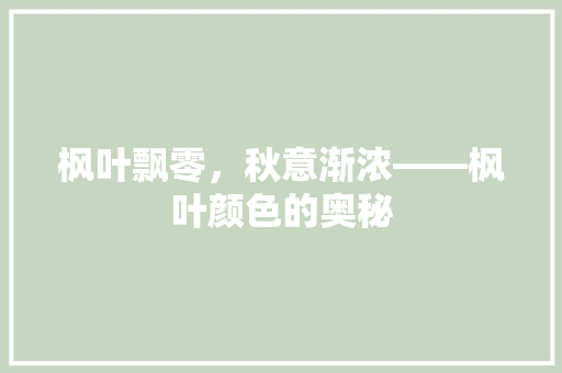 枫叶飘零，秋意渐浓——枫叶颜色的奥秘