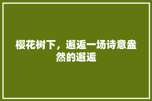 樱花树下，邂逅一场诗意盎然的邂逅