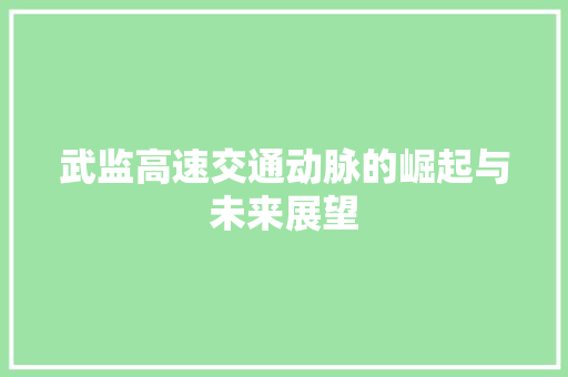 武监高速交通动脉的崛起与未来展望