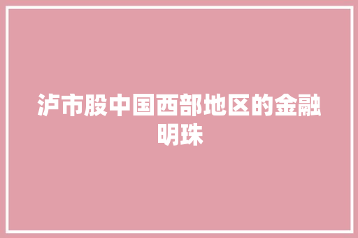 泸市股中国西部地区的金融明珠