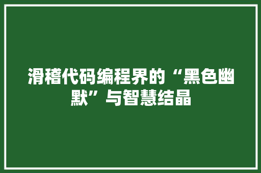 滑稽代码编程界的“黑色幽默”与智慧结晶