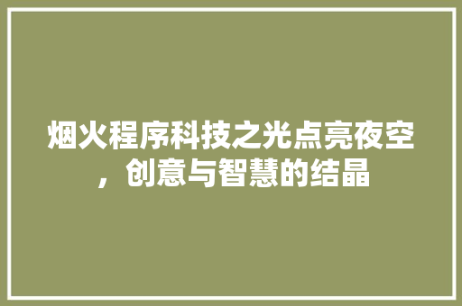 烟火程序科技之光点亮夜空，创意与智慧的结晶