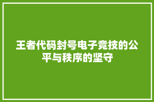 王者代码封号电子竞技的公平与秩序的坚守
