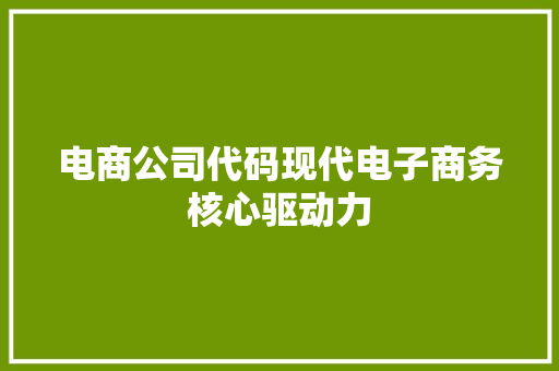 电商公司代码现代电子商务核心驱动力