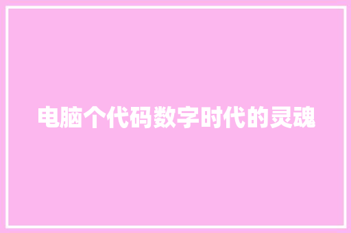 电脑个代码数字时代的灵魂