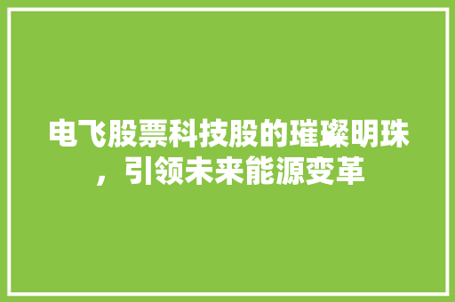 电飞股票科技股的璀璨明珠，引领未来能源变革