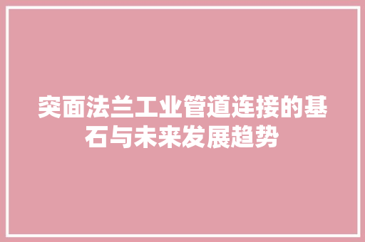 突面法兰工业管道连接的基石与未来发展趋势