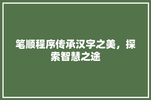 笔顺程序传承汉字之美，探索智慧之途