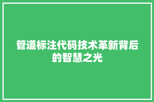 管道标注代码技术革新背后的智慧之光